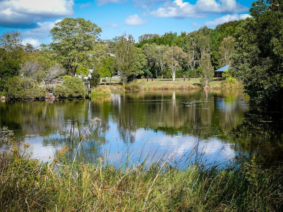 A Large Body of Water Surrounded by Trees on a Sunny Day — Coolum Cutting Edge in Peregian Springs, QLD