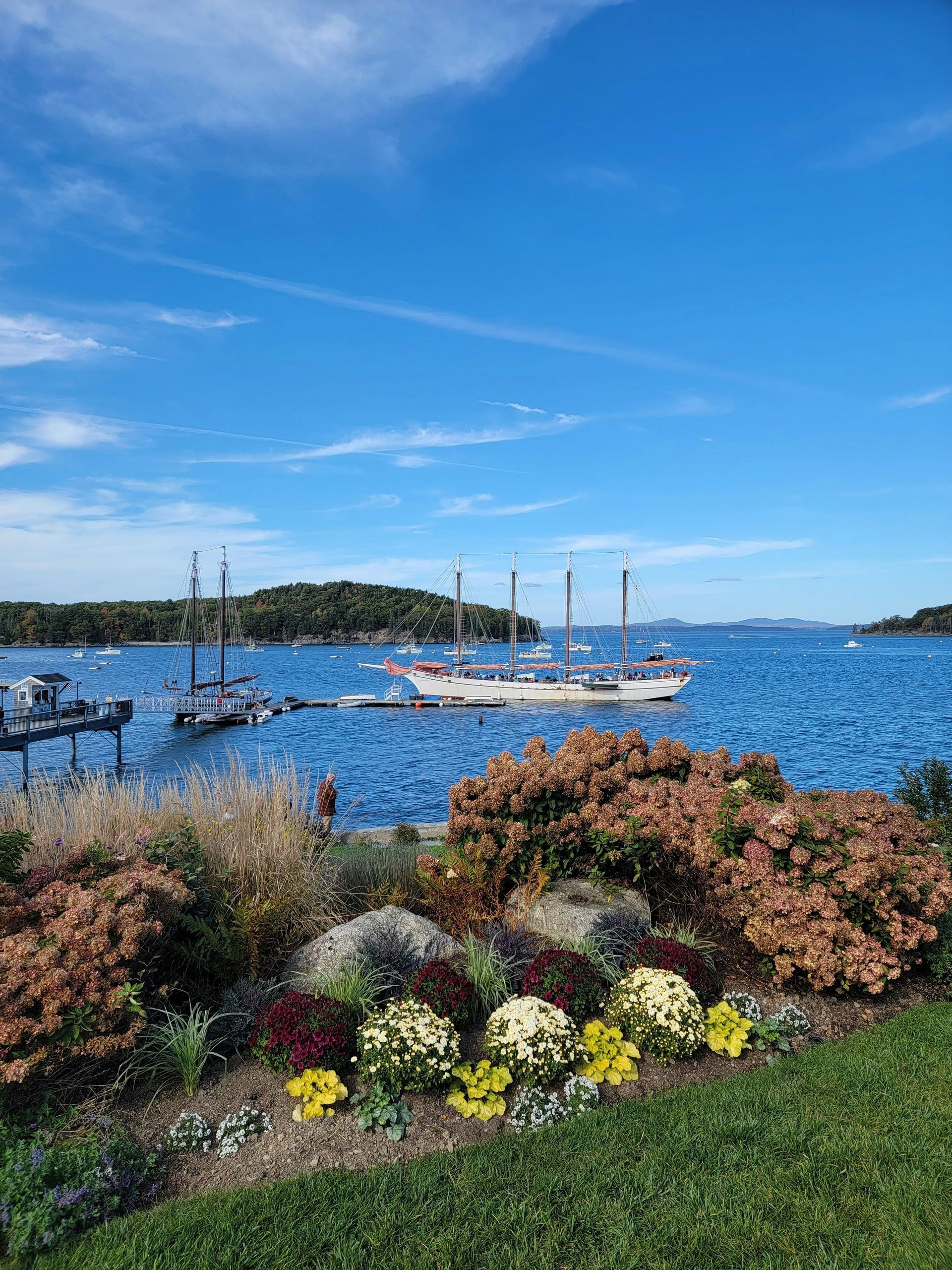 Sailboat on a blue sea, with flowerbeds in the foreground, under a bright blue sky.