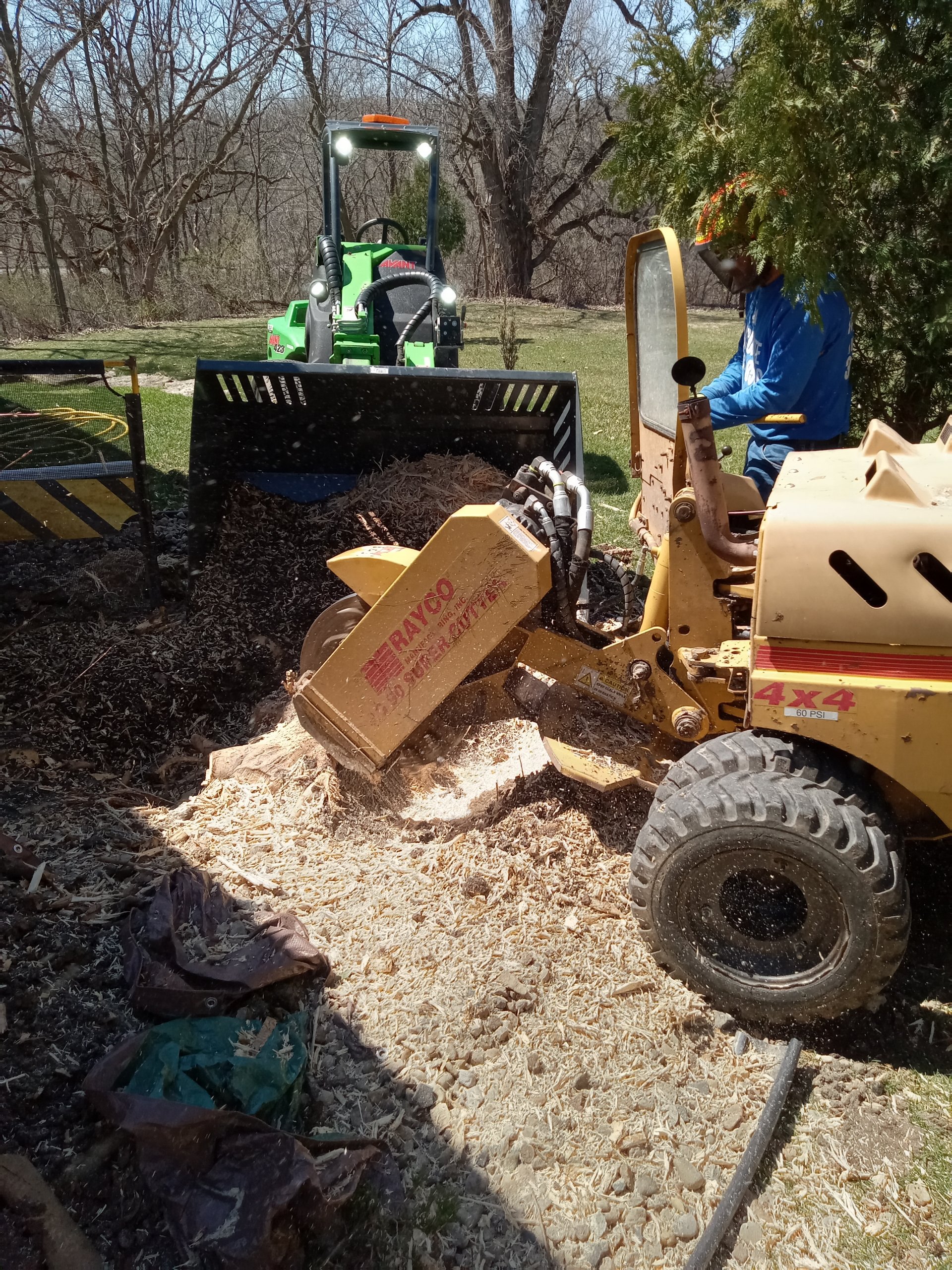 Tree & Snow Removal Company Madison, Middleton Sun Prairie WI Stump