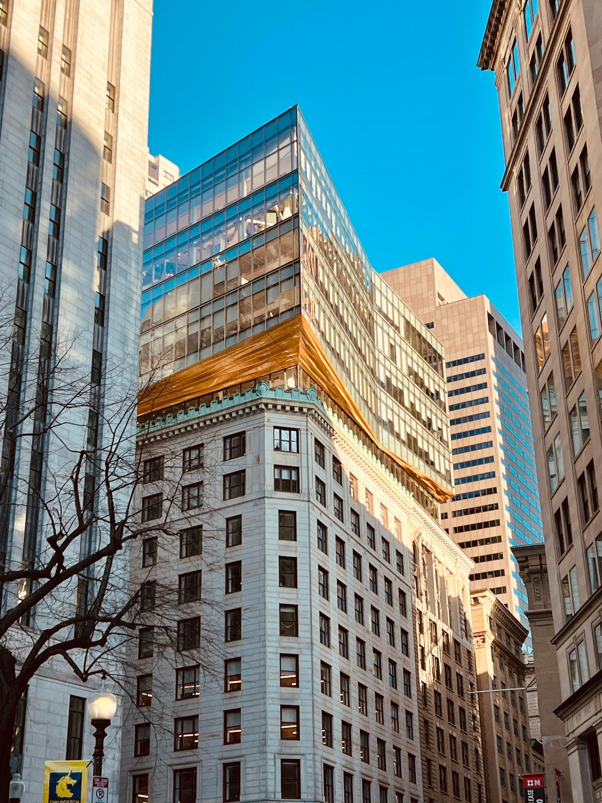 Una calle de la ciudad con muchos edificios altos y un árbol en primer plano.