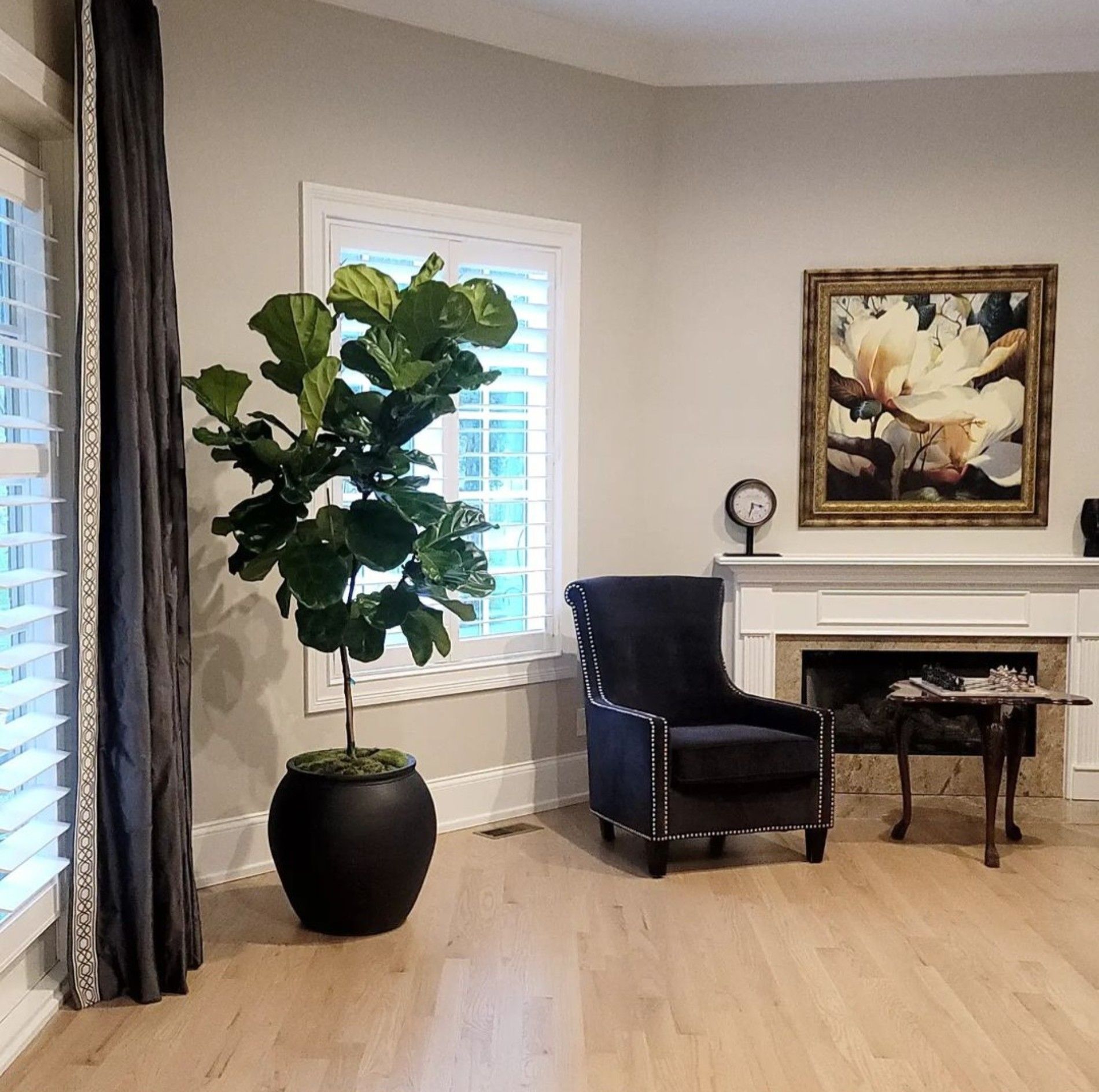 a living room with a fireplace a chair and a potted plant
