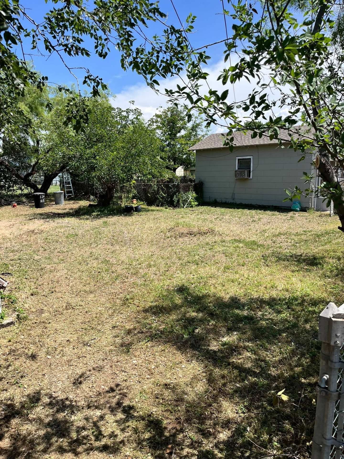 Backyard with dry grass, trees, and a small gray shed under a blue sky