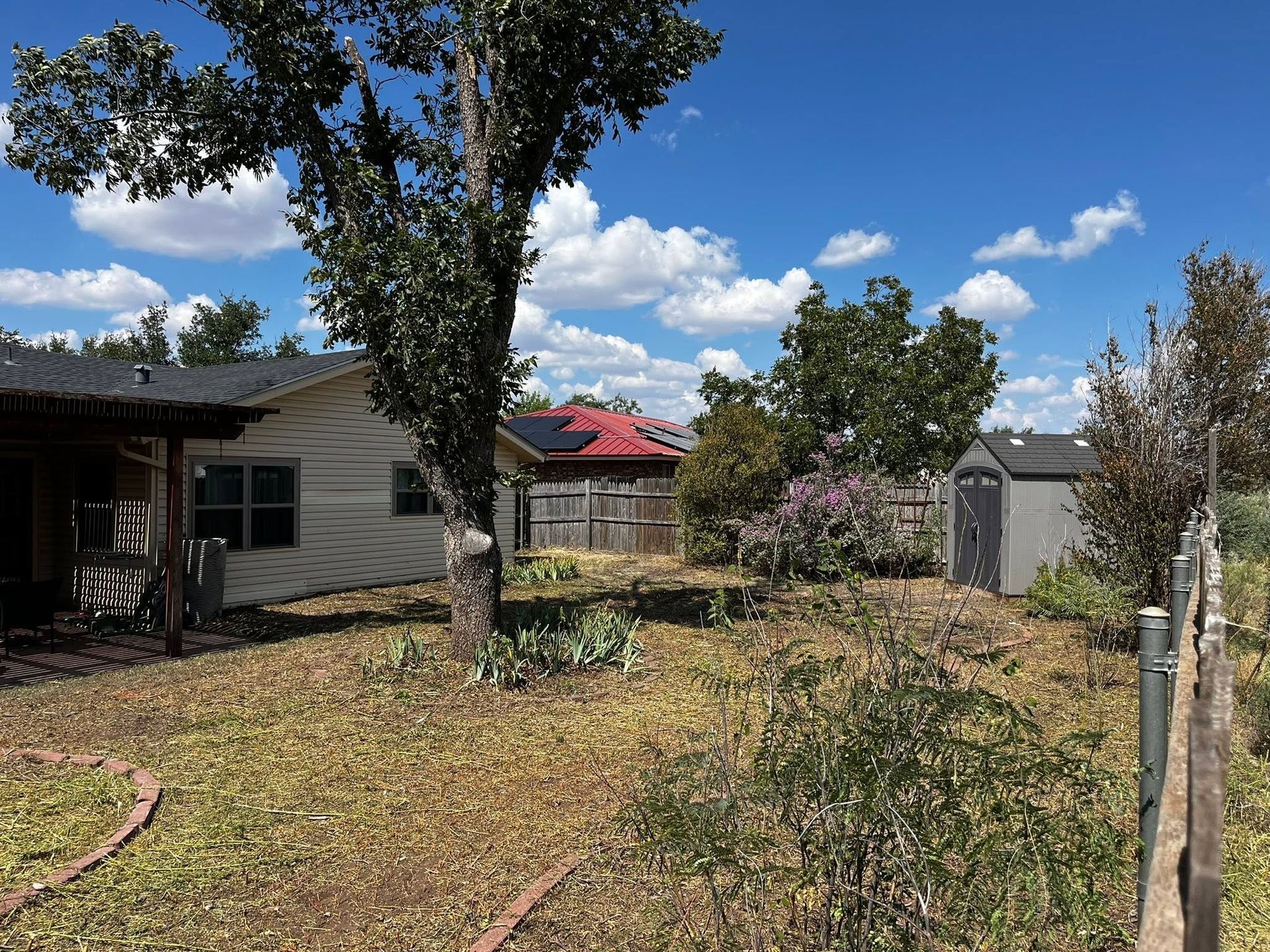 Backyard with a house, large tree, dry grass, and a small shed under a blue sky