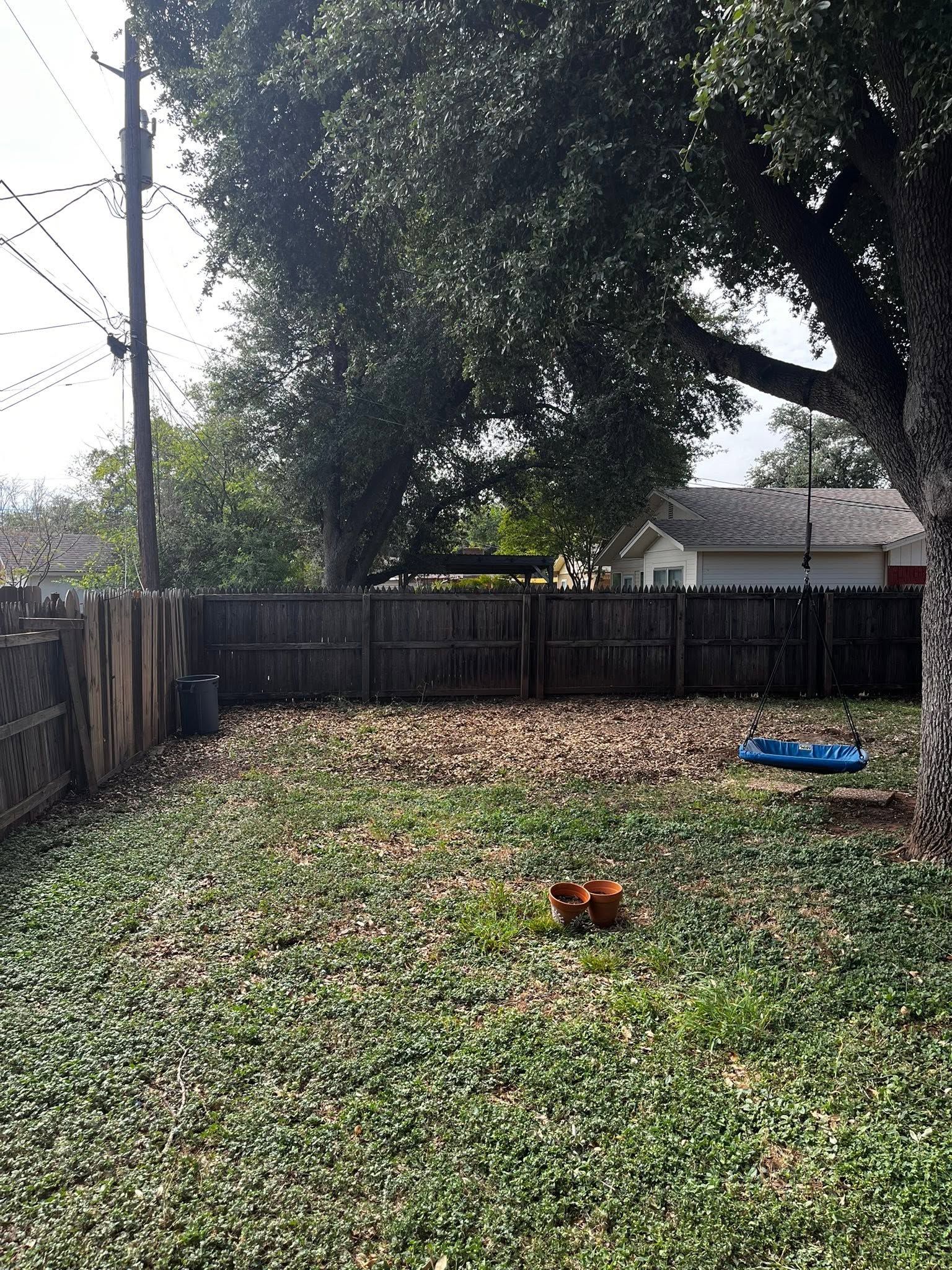 Backyard covered in fallen leaves with a wooden fence, large trees, and a small blue kiddie pool