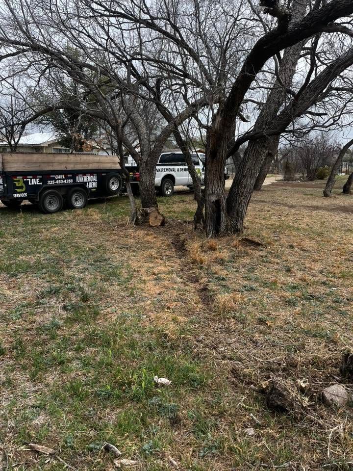 Leafless trees and a white SUV beside a black trailer in a grassy yard with patchy ground