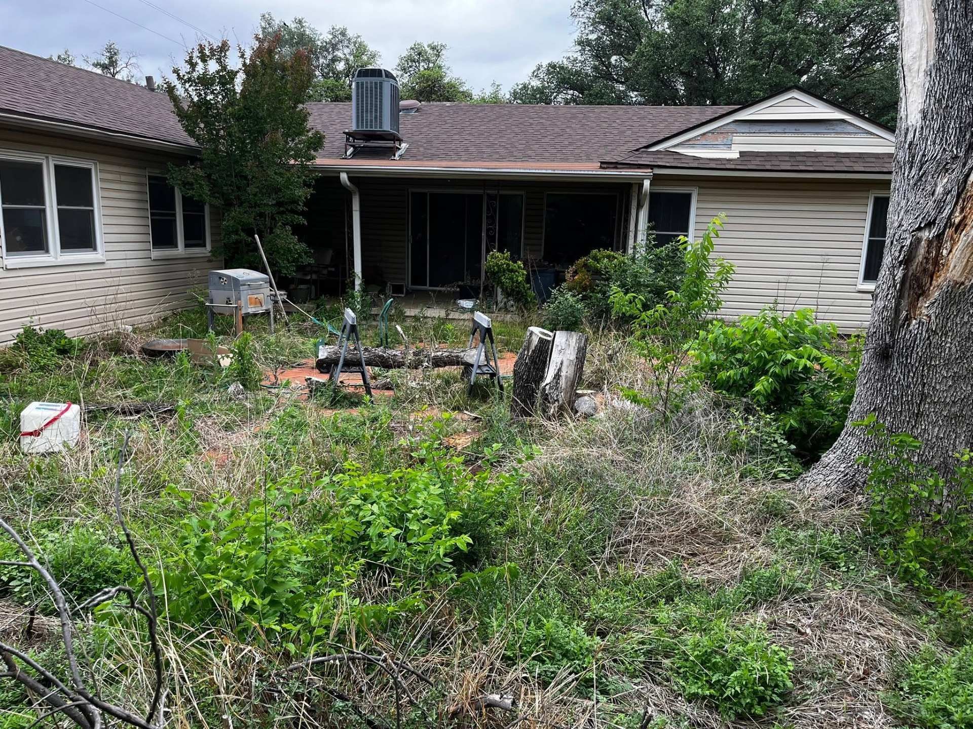 Overgrown front yard and house exterior with dense weeds, shrubs, and a patio area.
