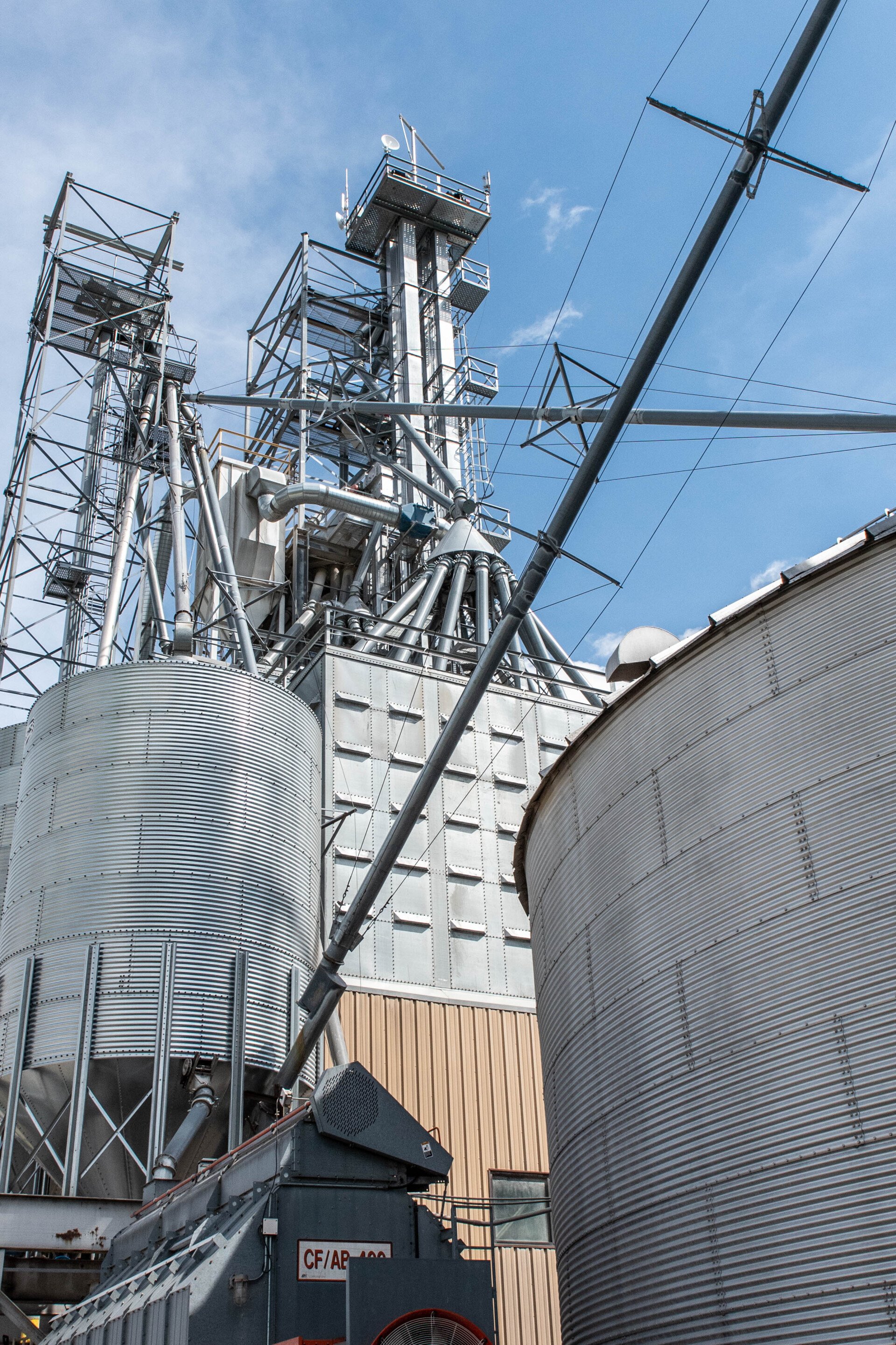 Maria Stein Grain Agronomy Grain Feed GRAIN