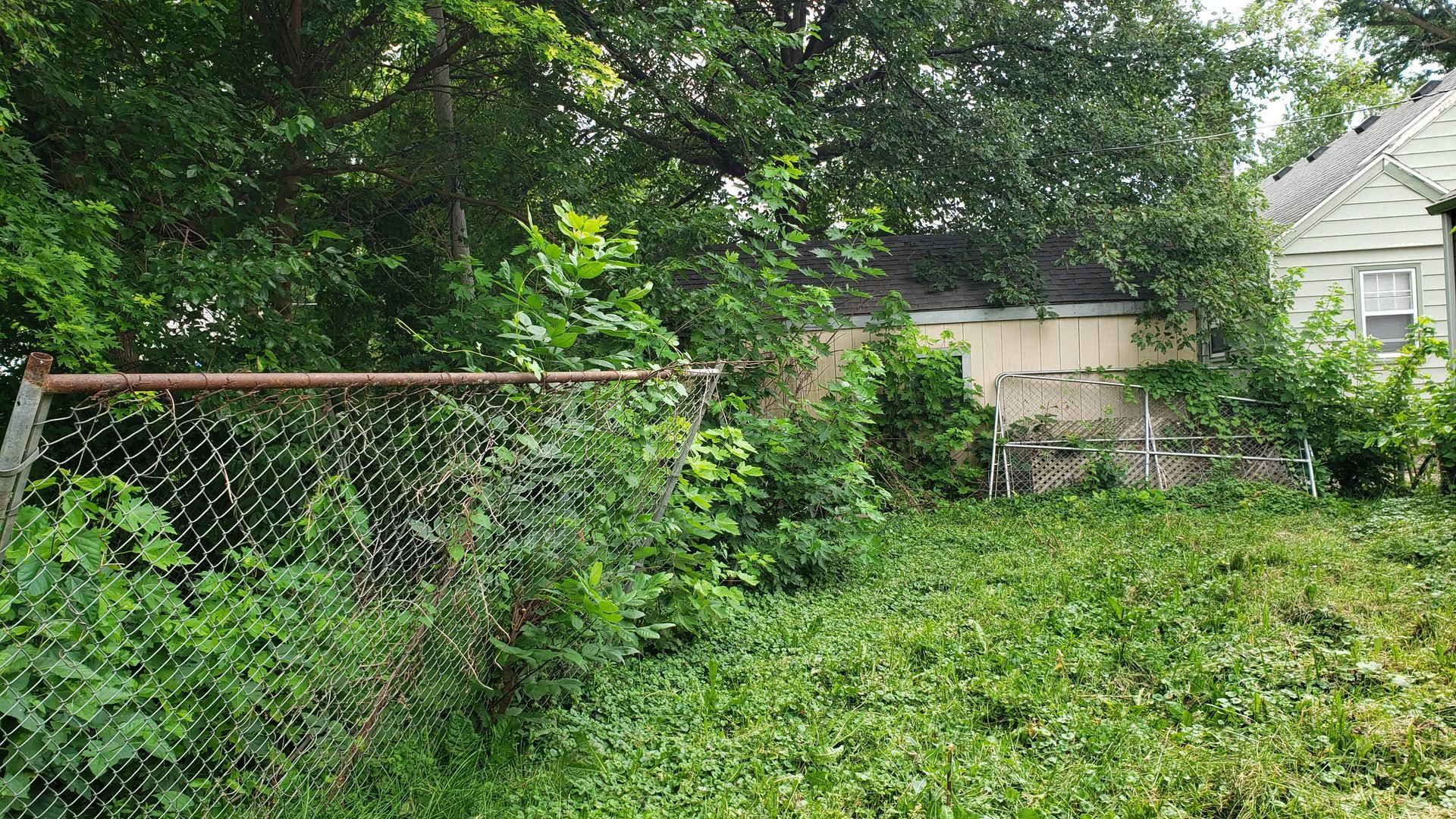 Backyard land clearing project before work
