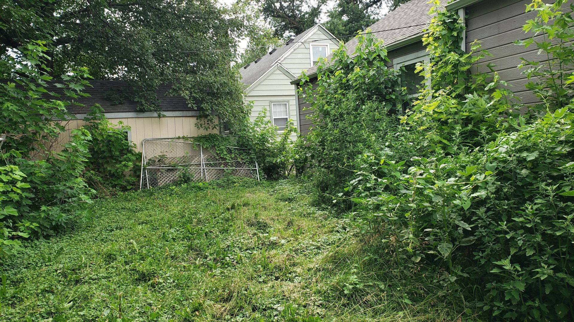 Backyard before land clearing and reclamation work