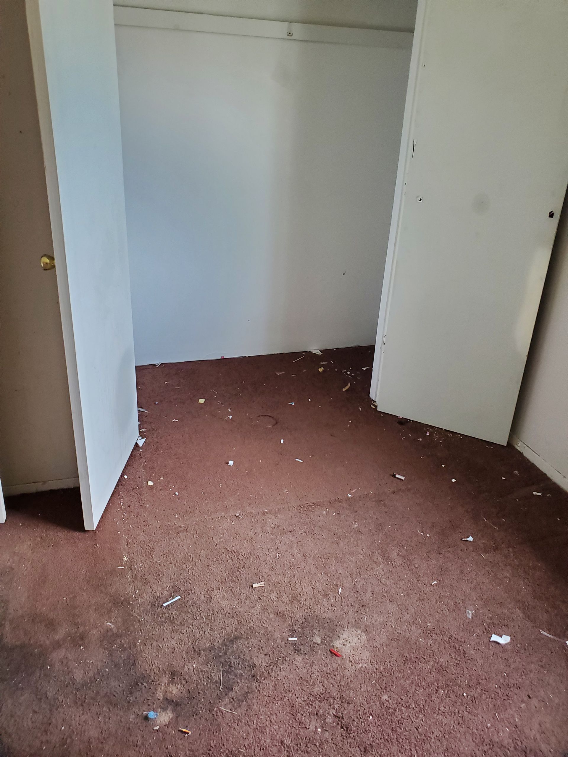 Closet after junk removal and cleanout