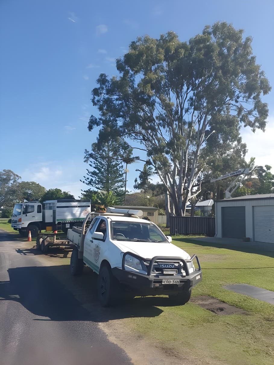 A White Truck is Parked on the Side of the Road — Steve Cubis Tree Services In Kyogle, NSW