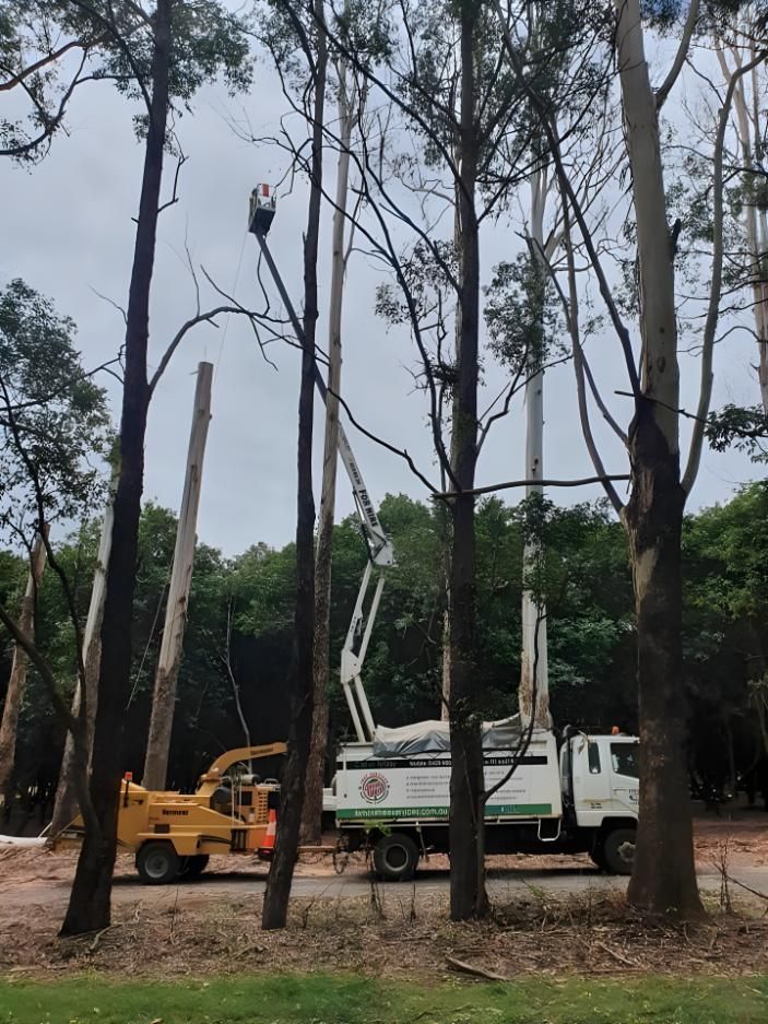A White Truck is Parked in the Middle of a Forest — Steve Cubis Tree Services In Nimbin, NSW