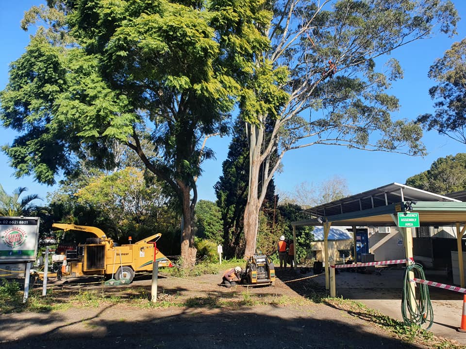 Men Working on Emergency Tree Removal in Lismore