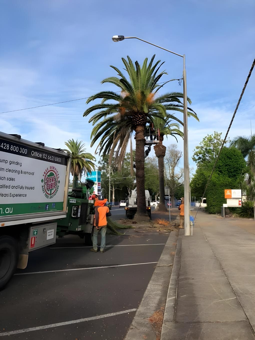 A Truck is Parked on the Side of the Road Next to a Palm Tree — Steve Cubis Tree Services In Alstonville, NSW