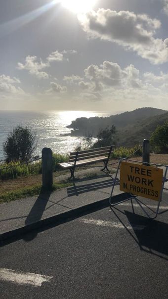 There is a Sign on the Side of the Road That Says `` Tree Work in Progress '' — Steve Cubis Tree Services In Balina, NSW