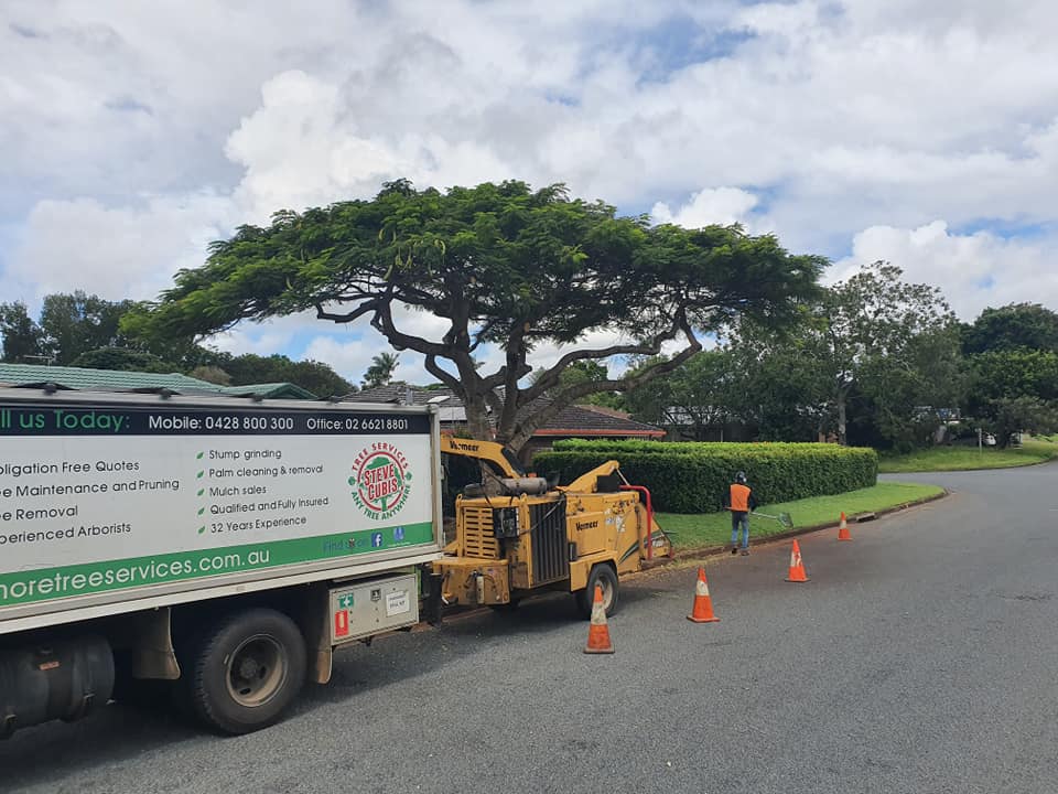 Tree Chipping & Mulch  — Mulch in Lismore, NSW