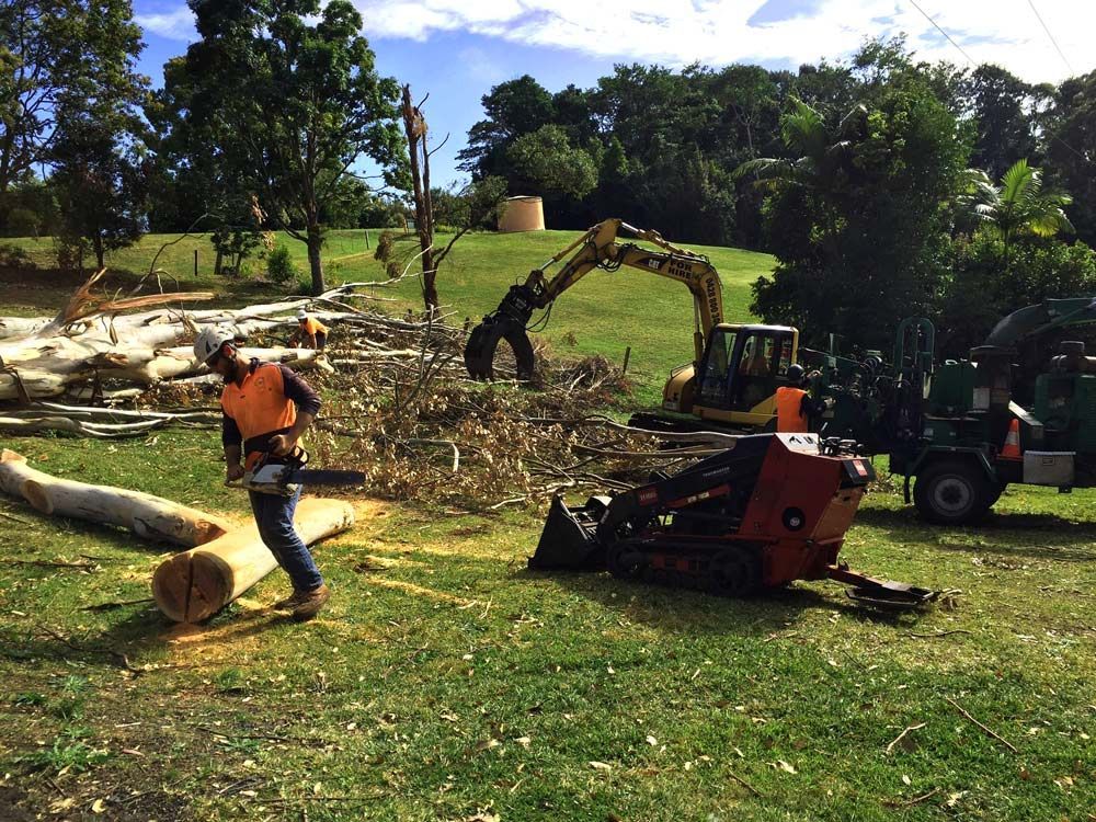 An Emergency Tree Services