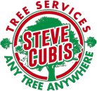 Steve Cubis Tree Services: Professional Arborist in the Northern Rivers Steve Cubis Tree Services: Professional Arborist in the Northern Rivers