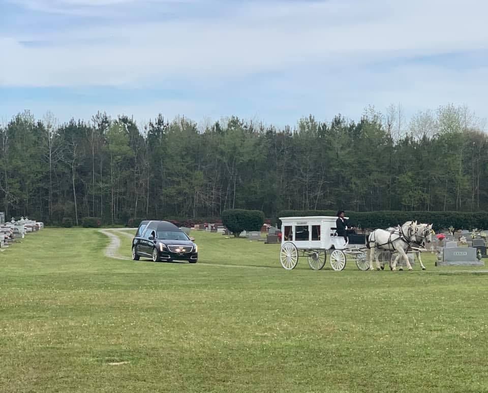 Black car and white horse-drawn carriage on a grassy field by a tree line.