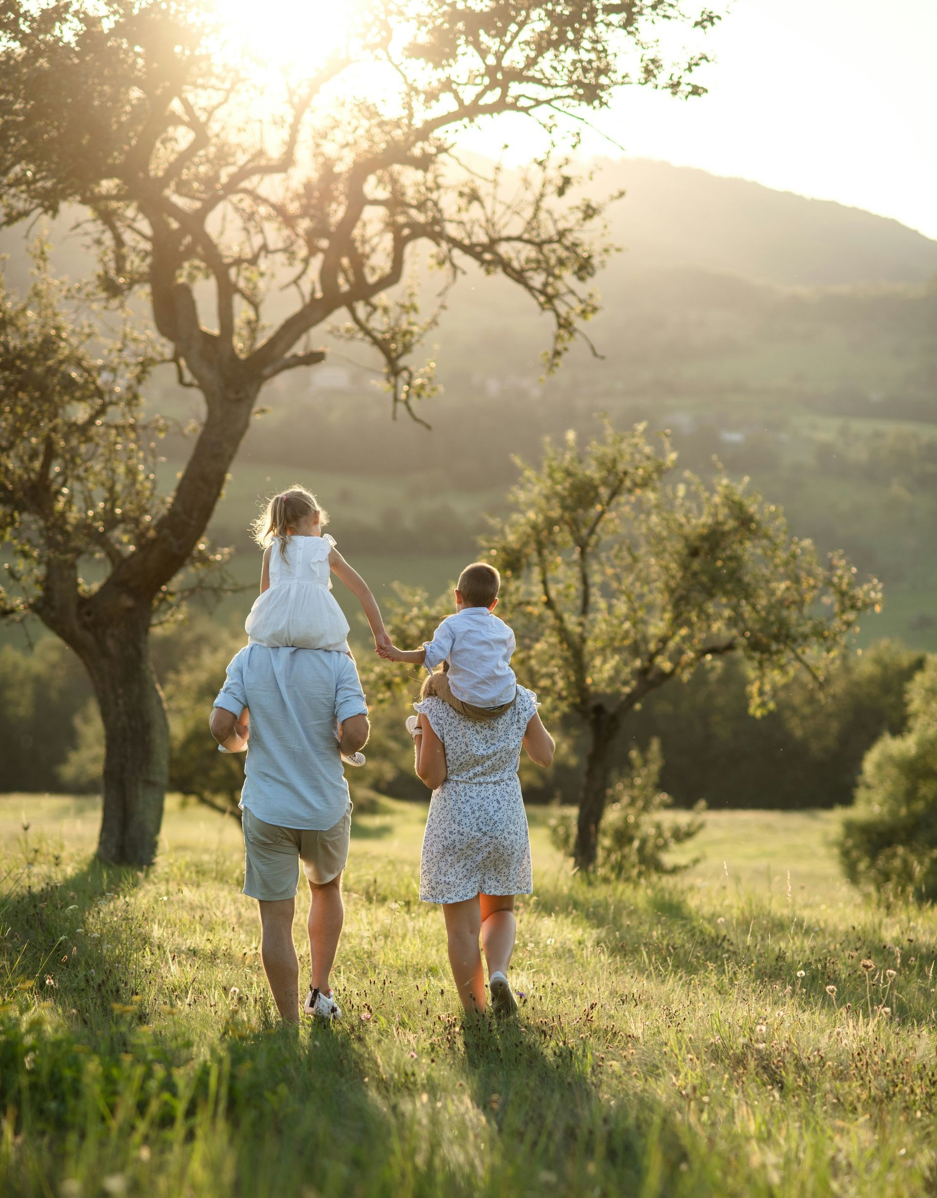 A group of people are walking through a field of flowers