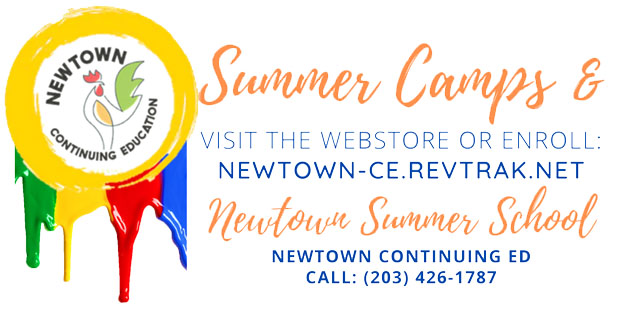 A logo for newtown summer camps and newtown summer school