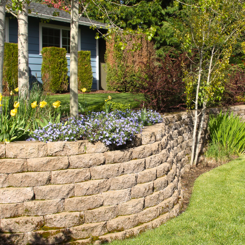 Curved stone retaining wall with purple flowers and yellow tulips in a sunny front yard garden