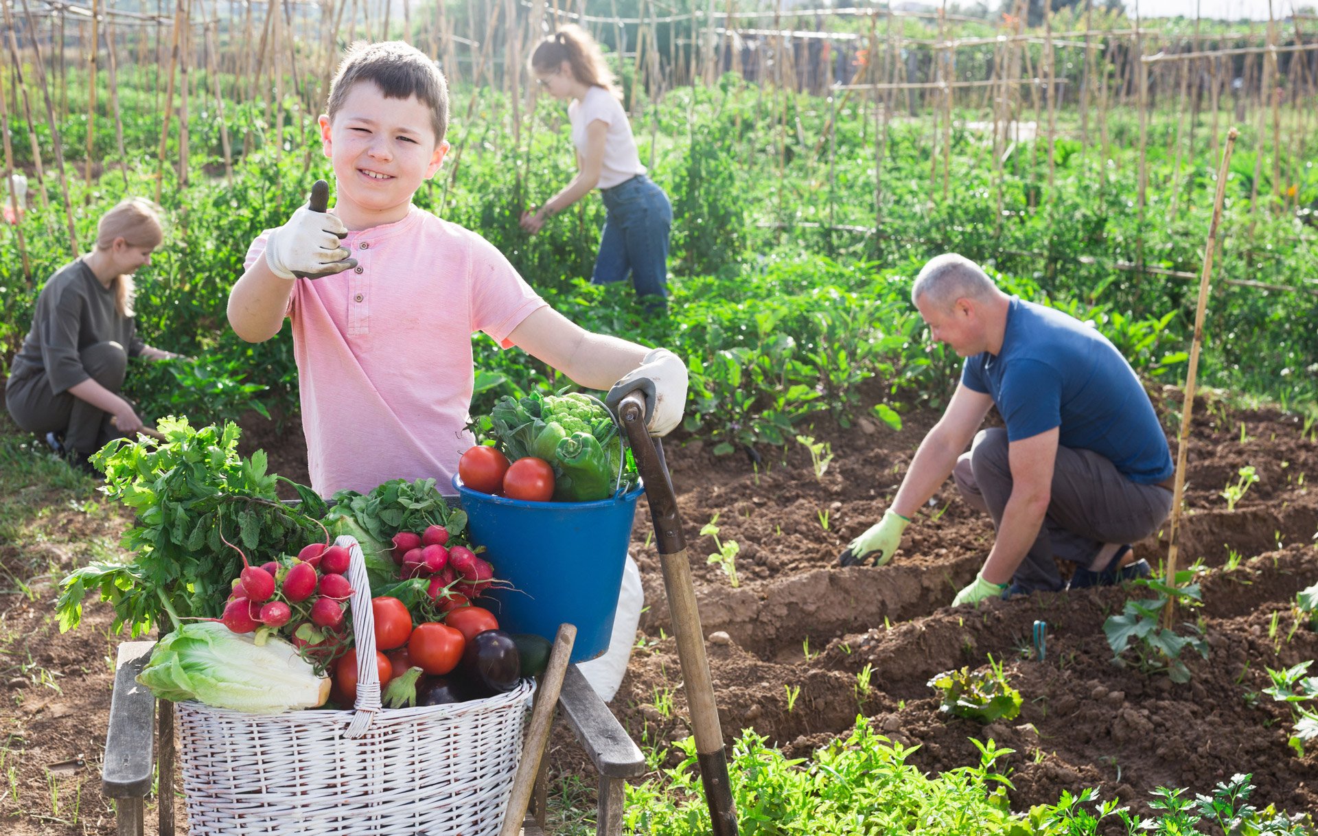 Gardening supplies Geelong, VIC Geelong Farm Supplies