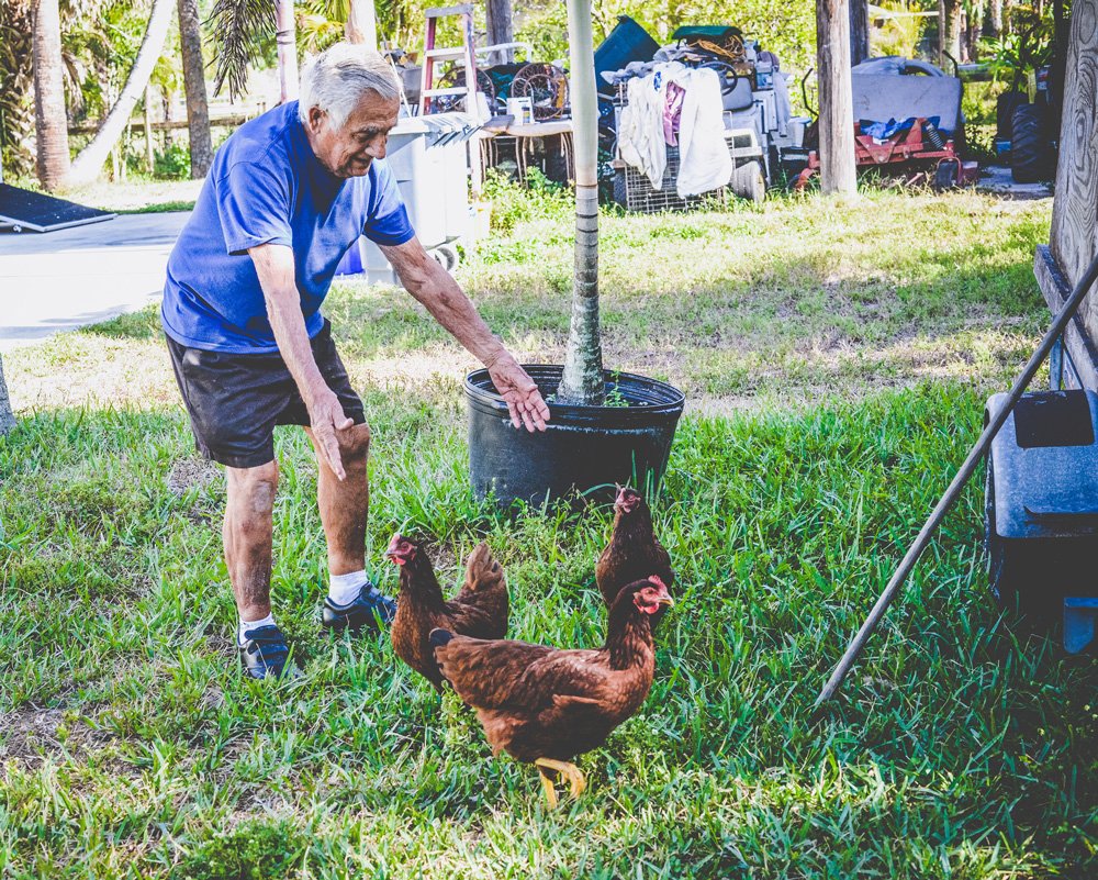 Pet & Livestock Supplies Geelong, VIC Geelong Farm Supplies