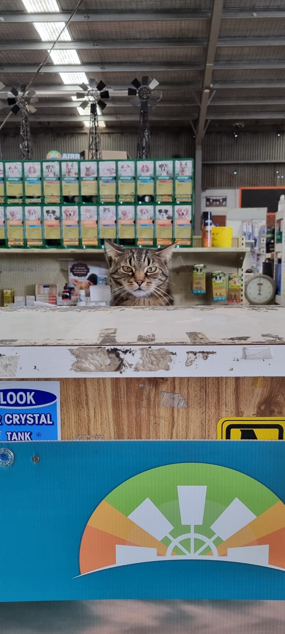 Pet & Livestock Supplies Geelong, VIC Geelong Farm Supplies