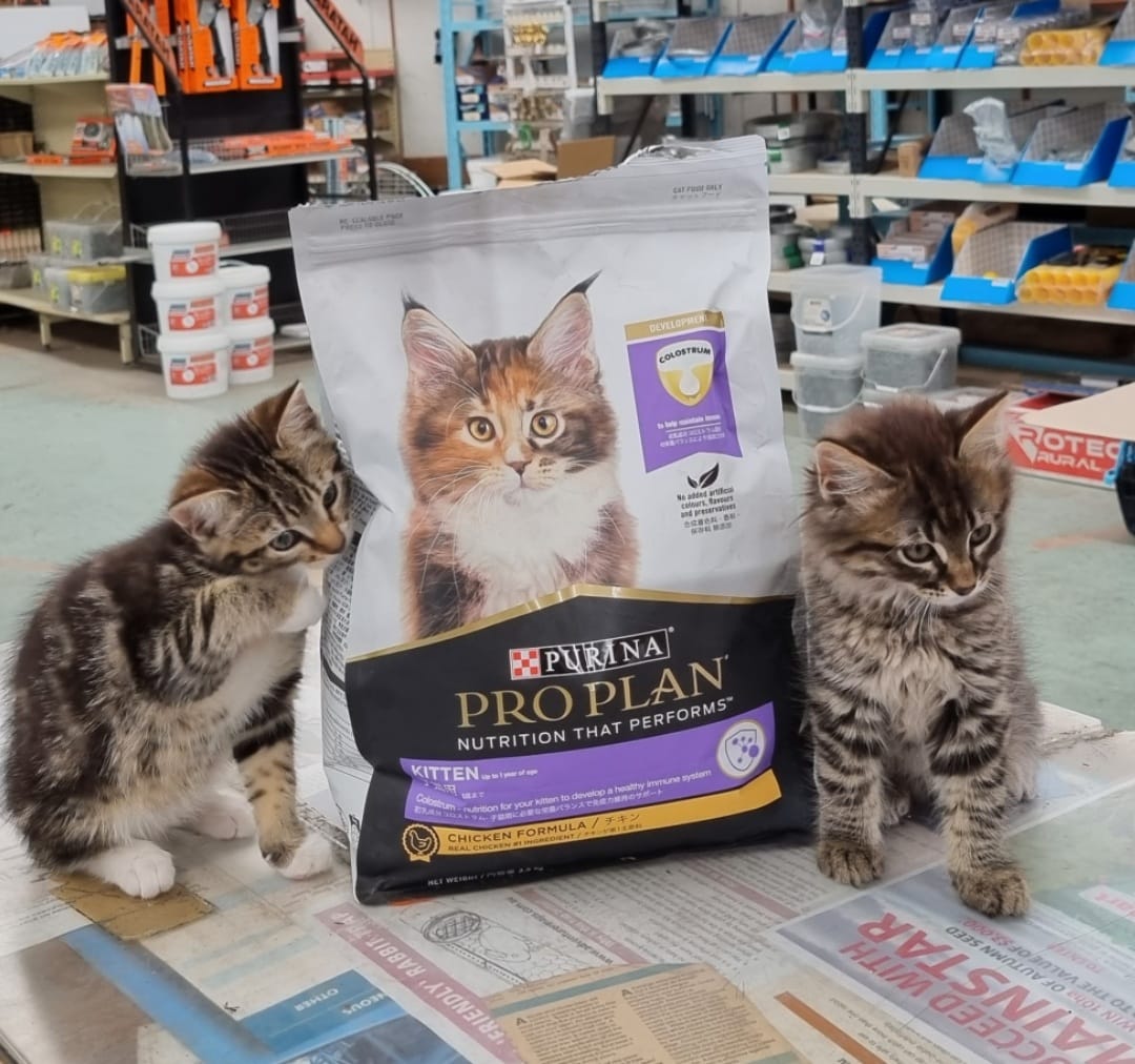 Pet & Livestock Supplies Geelong, VIC Geelong Farm Supplies