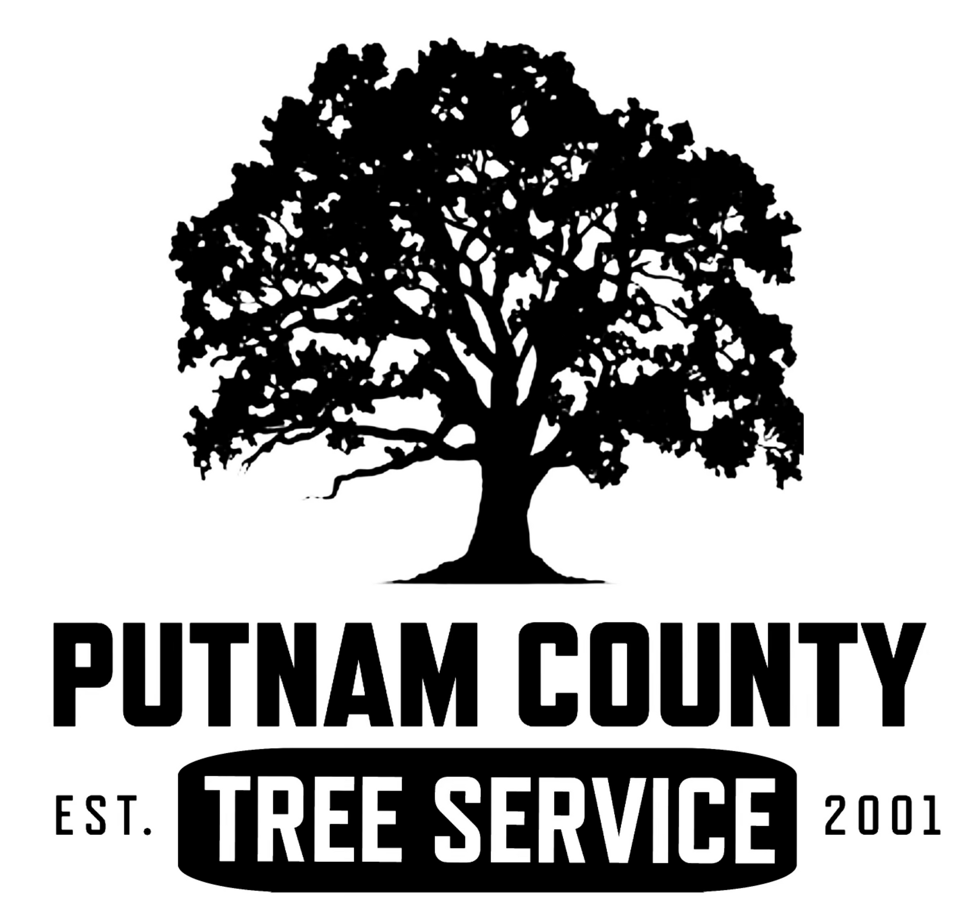 Logo for Putnam County Tree Service, featuring a silhouette of a tree above text.