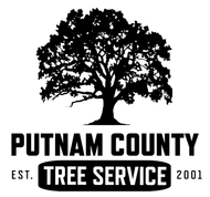 Logo for Putnam County Tree Service, featuring a silhouette of a tree above text.