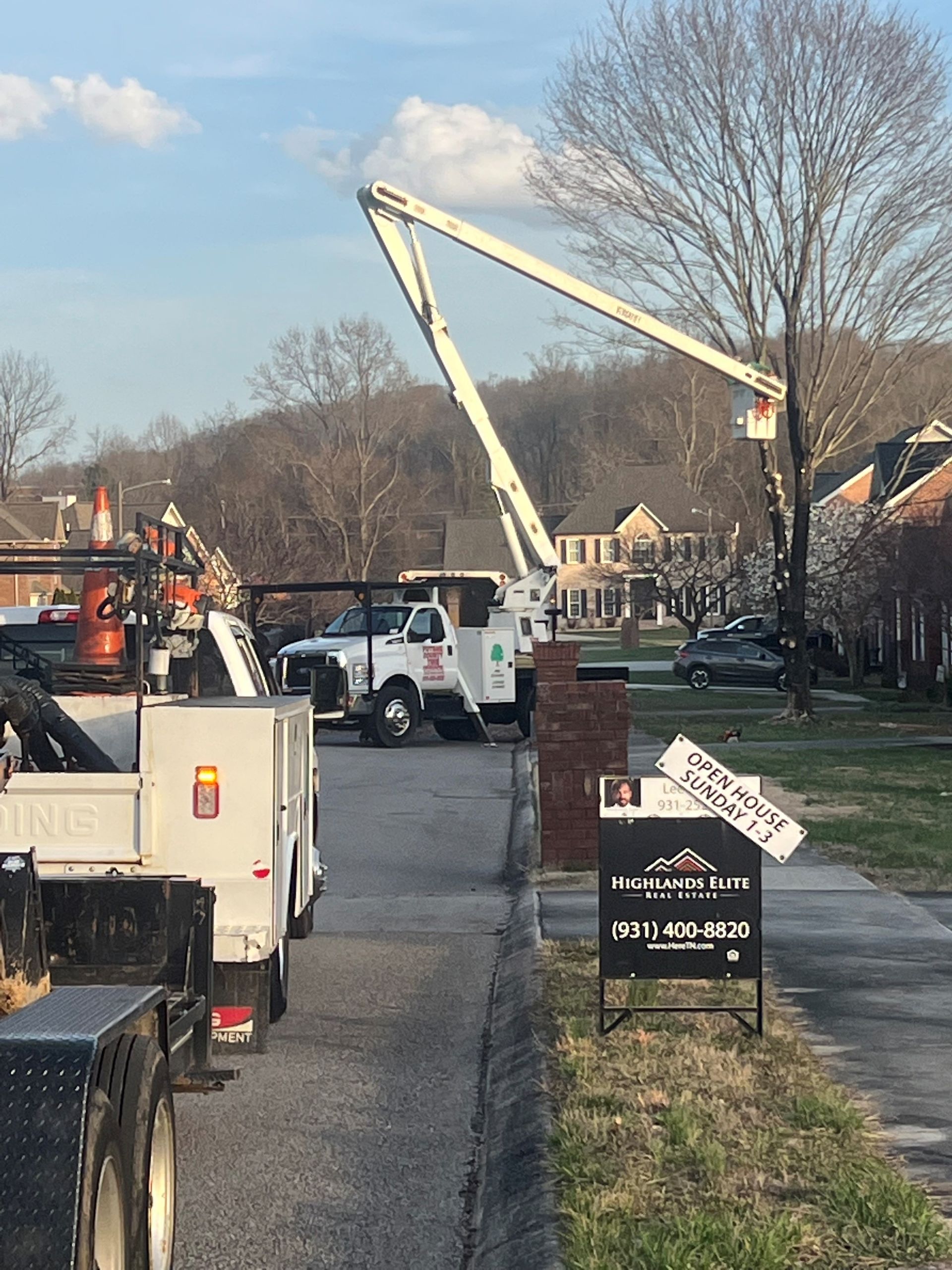 Utility trucks with aerial lifts trimming trees along a street in a residential area.