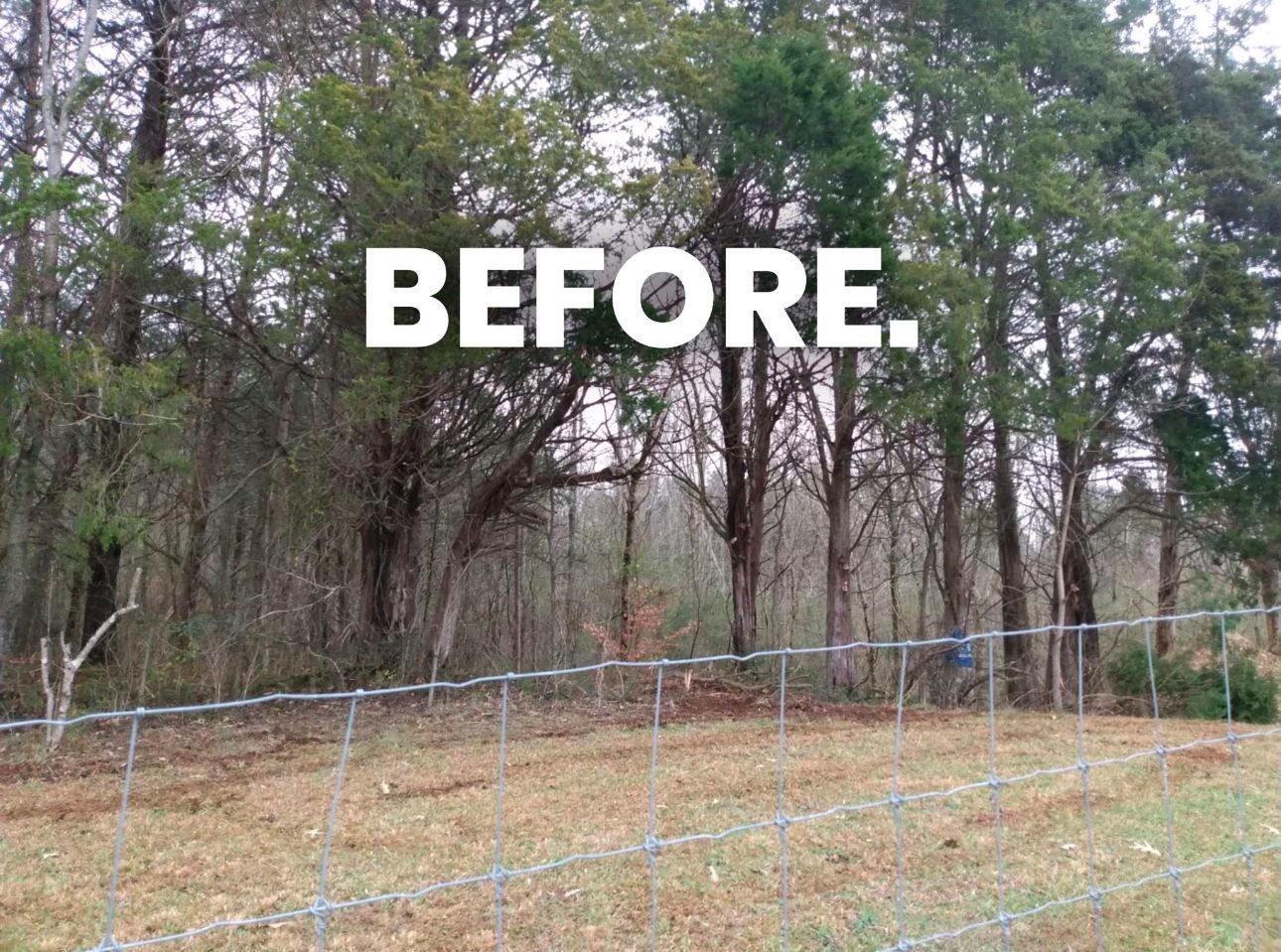 Trees and a fence line, labeled 