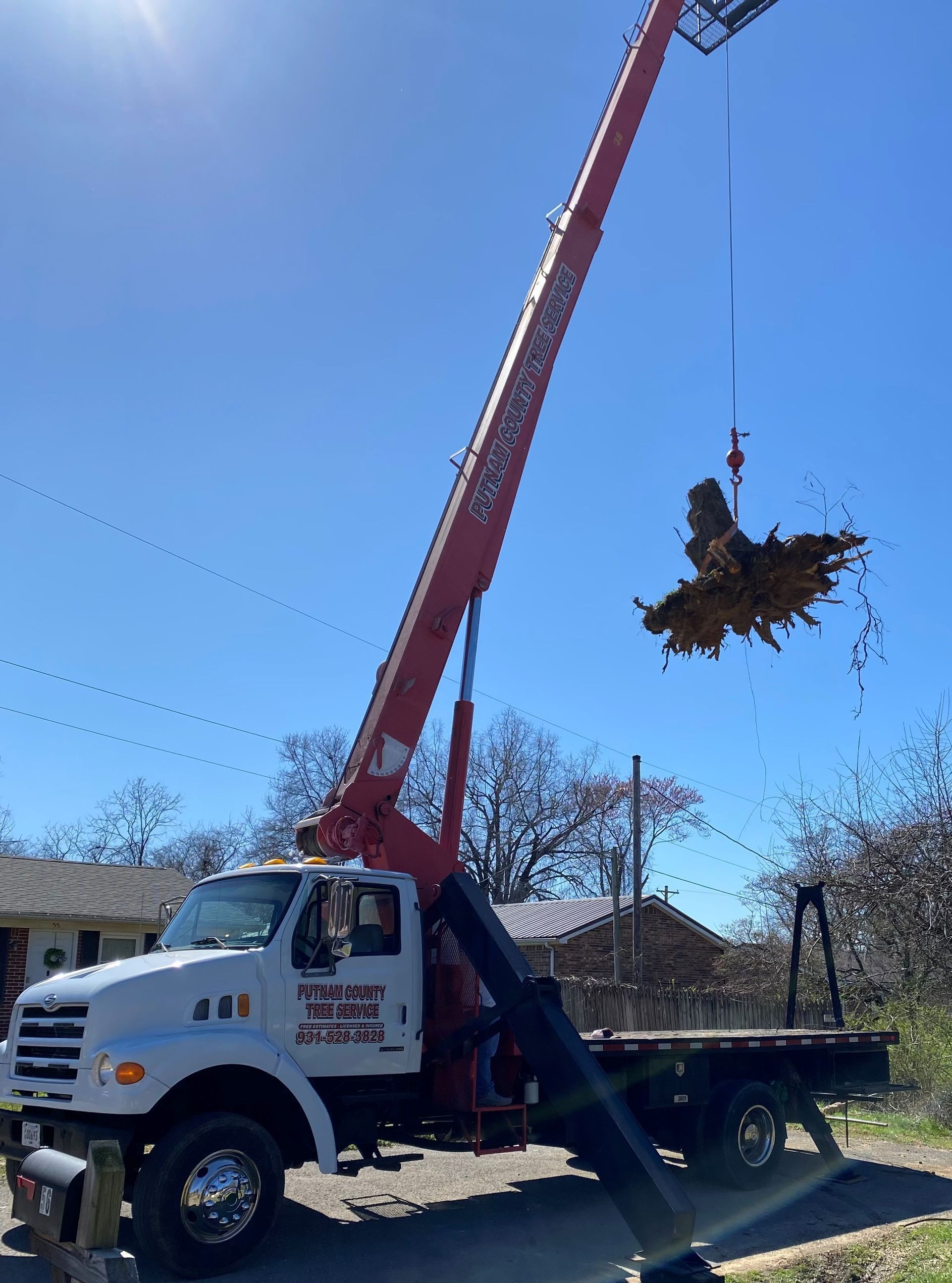 A red crane truck lifting a tree root on a sunny day.