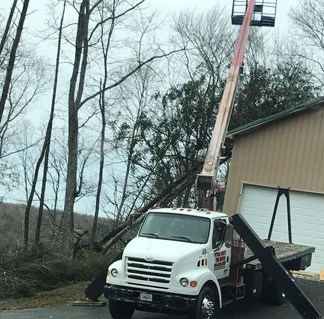 White truck with an aerial lift trimming a tree near a tan building. Overcast sky.