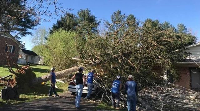 People removing a fallen tree from a car in a driveway next to a house. Sunny day.