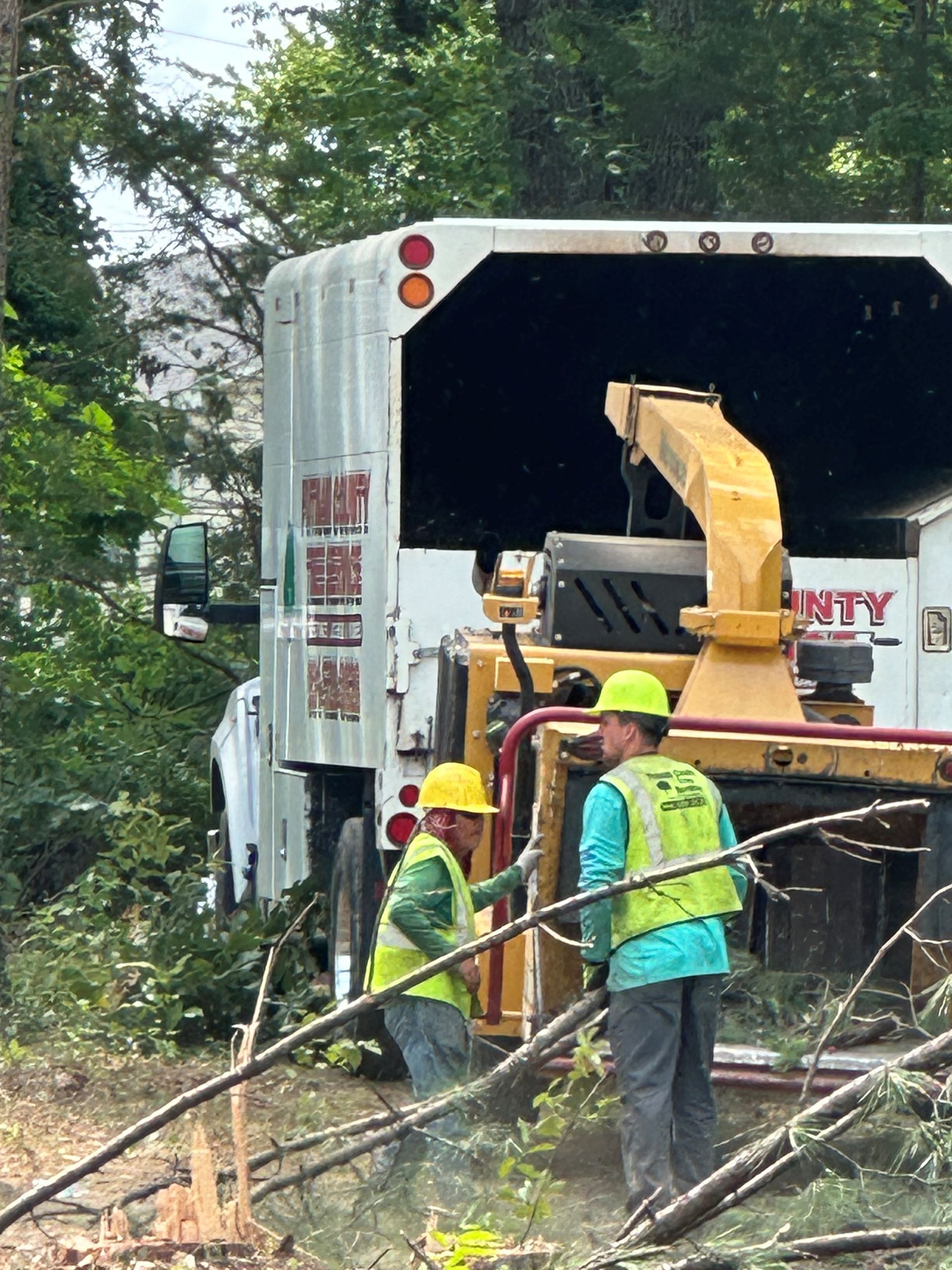 Two workers in safety vests feed tree branches into a wood chipper truck in a wooded area.