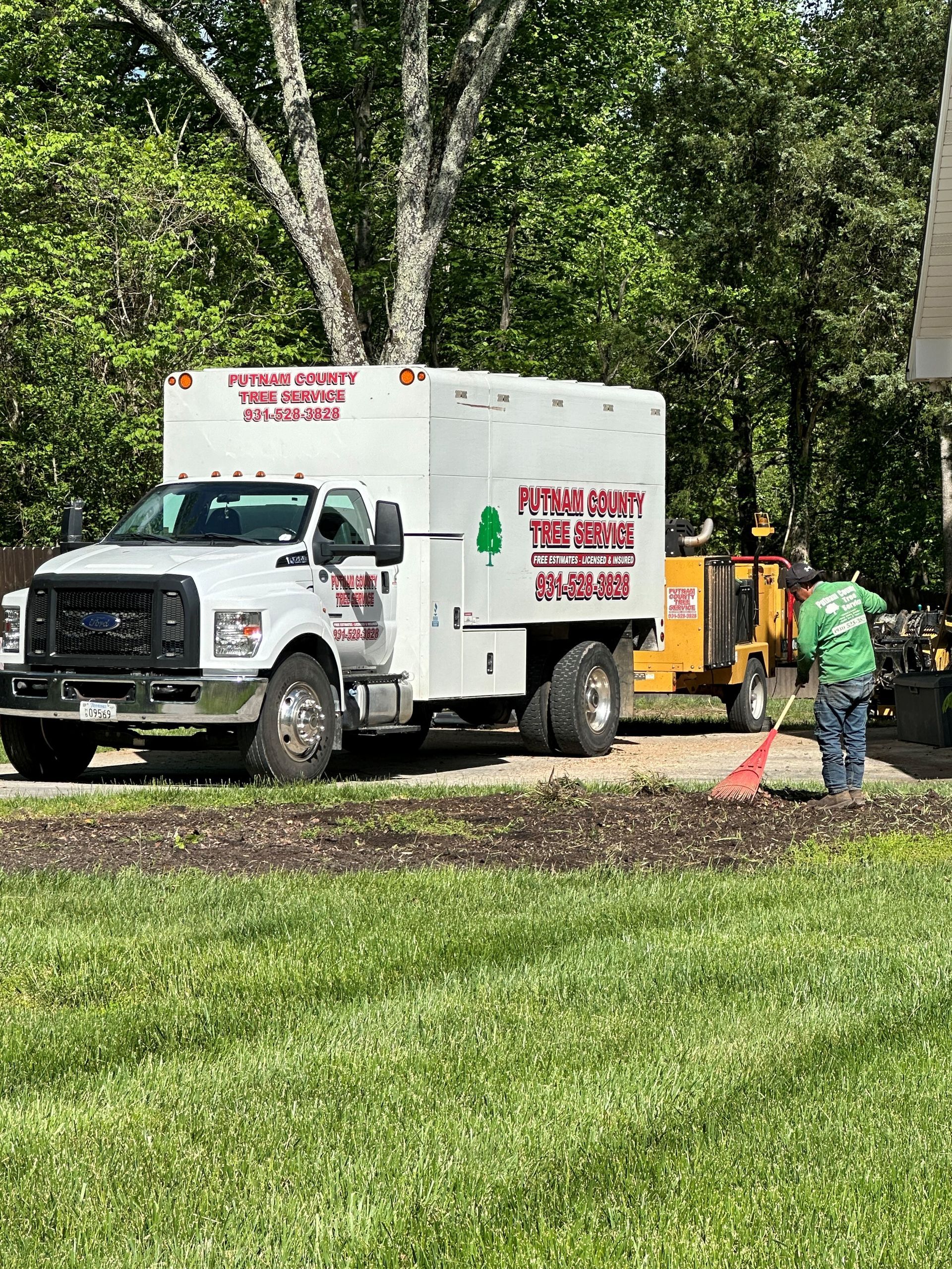 Worker Pruning A Branch Of A Pine Tree — Cookeville, TN — Putnam County Tree Service White tree service truck with a wood chipper; a worker in a green shirt is present.