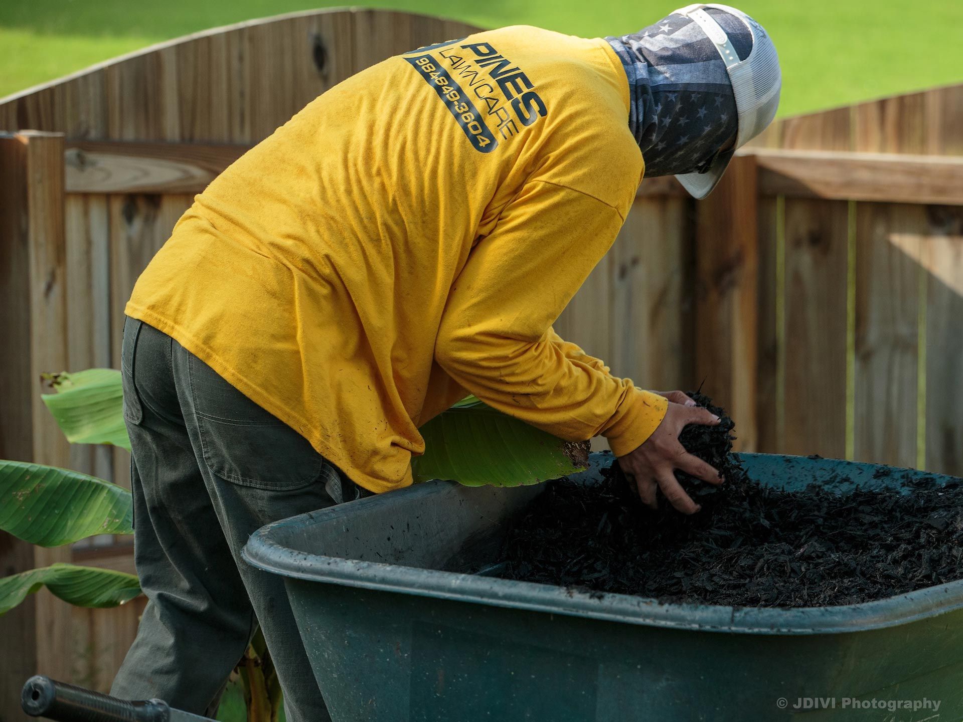 Man in yellow shirt filling a wheelbarrow with dark mulch outdoors.