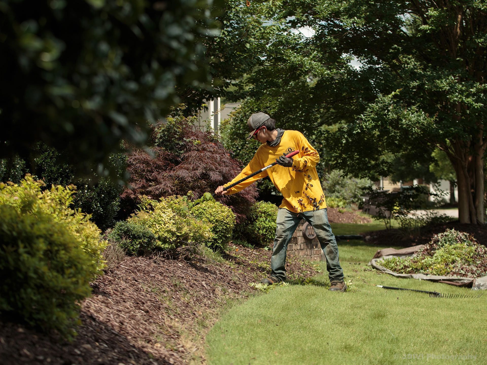 Man in yellow shirt tending garden with tool, green grass, and bushes.