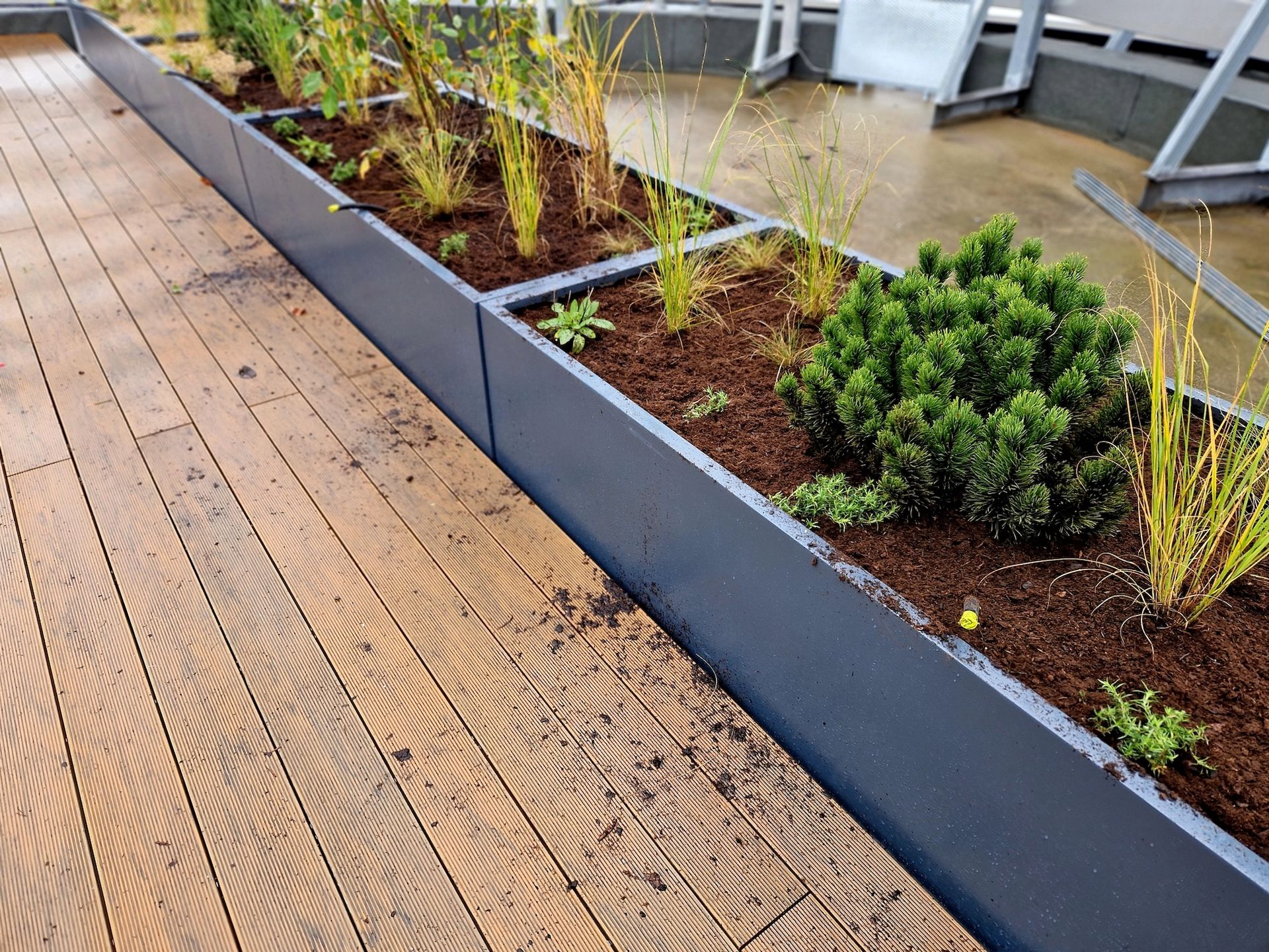 Wooden deck with a rectangular planter box filled with plants.