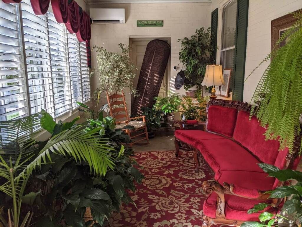 a living room with a red couch , rocking chair , and lots of plants .