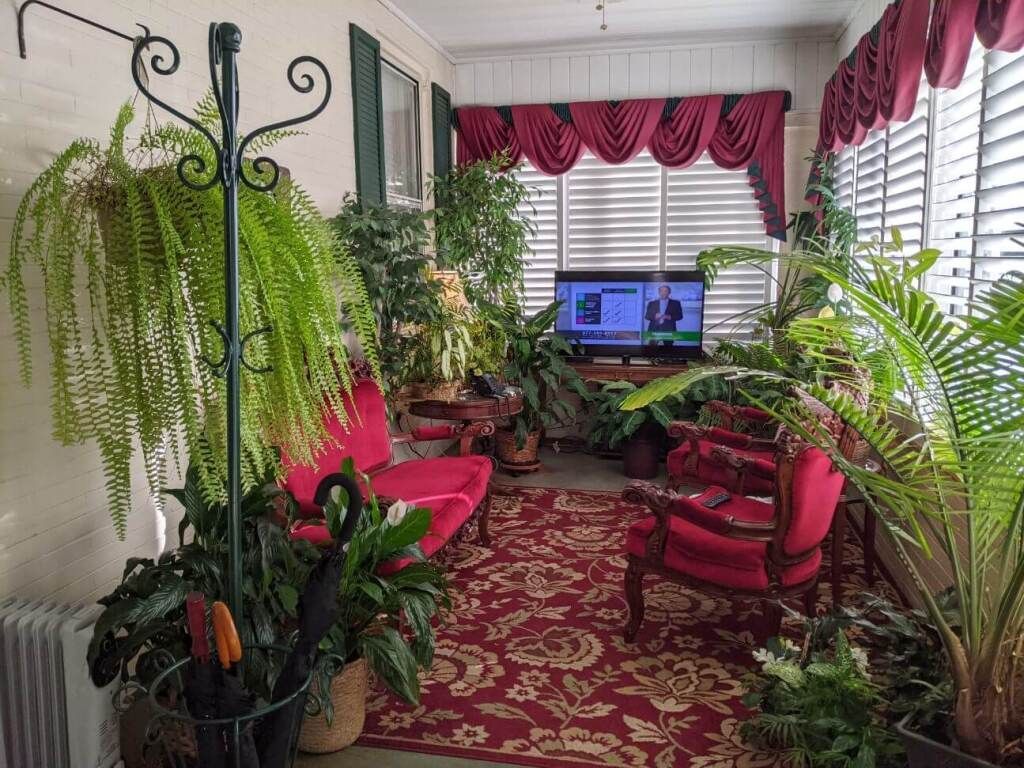 a living room filled with lots of plants and a television .