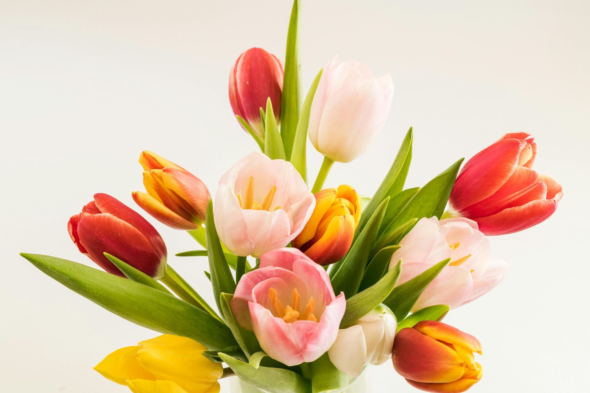 Send Flowers