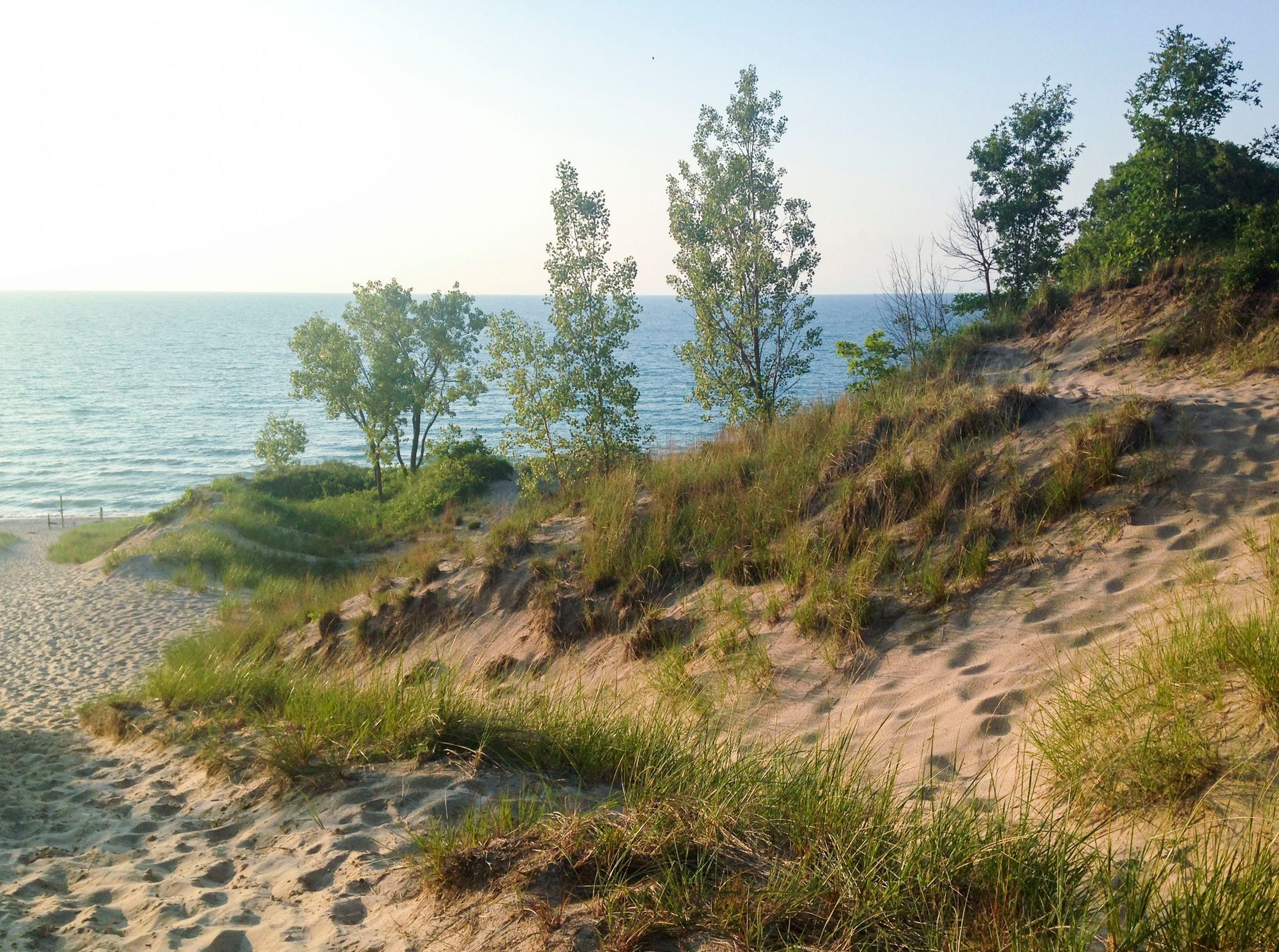 Sandy dunes with green vegetation and tall trees overlooking a calm blue lake under a clear sky.
