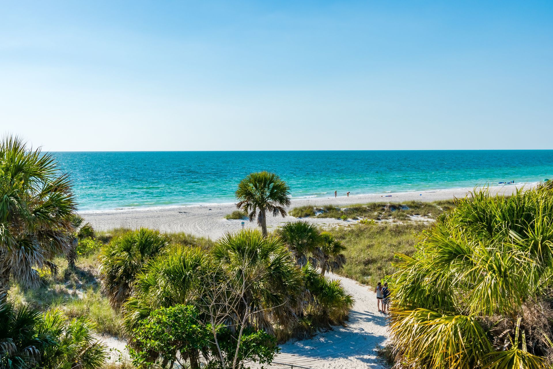 A path winds through lush green palm trees toward a bright, sandy beach overlooking the clear blue ocean under a sunny sky.