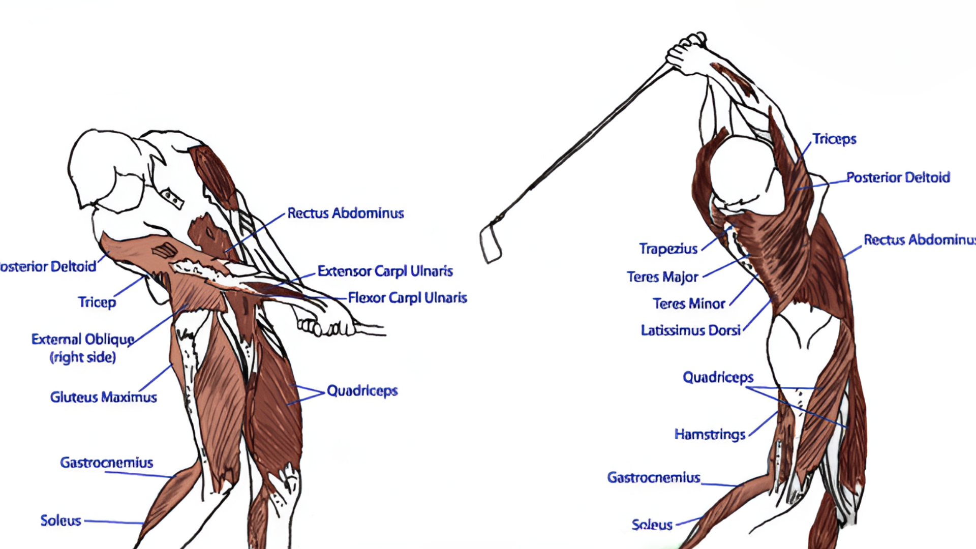 A diagram of a person swinging a golf club