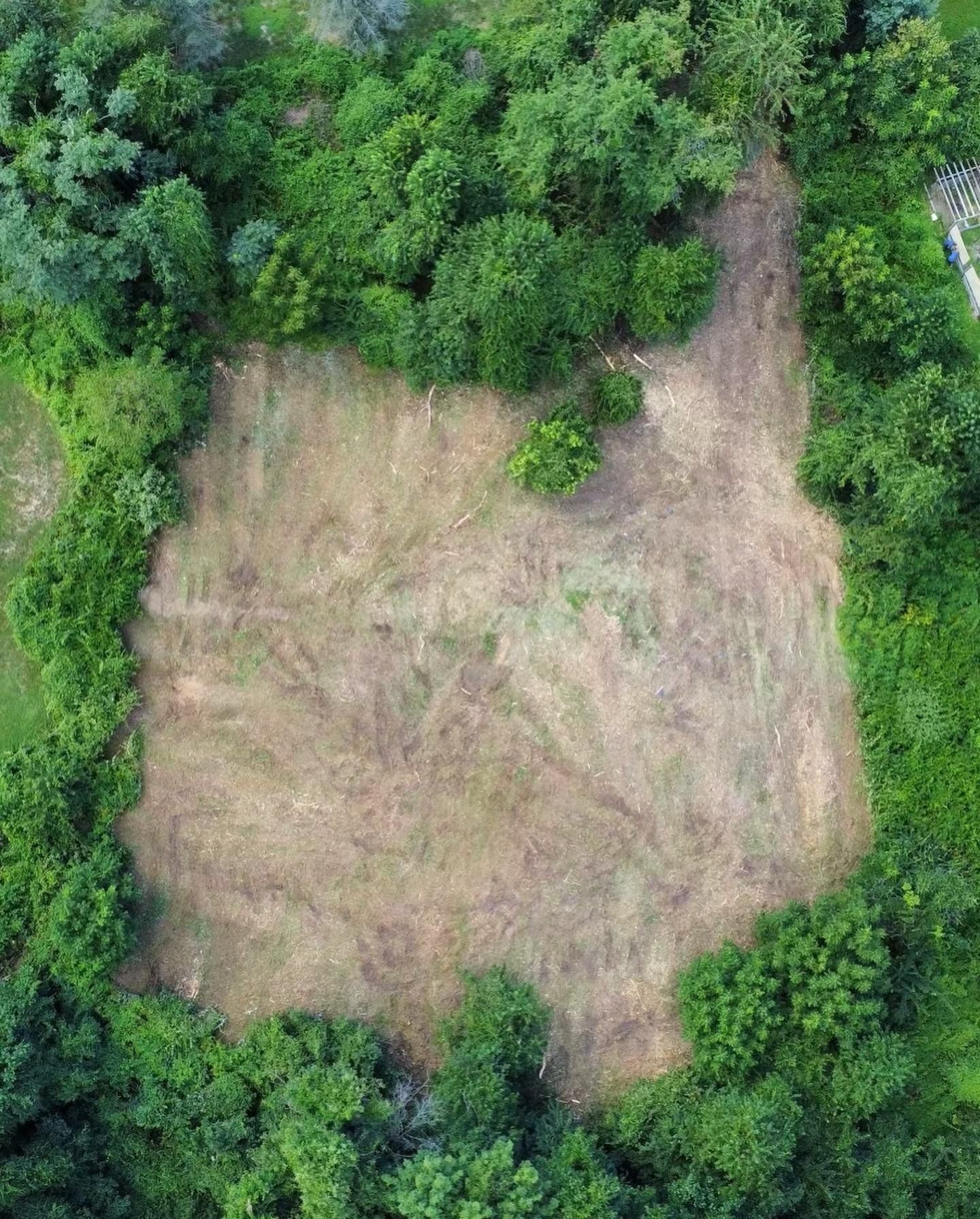 Aerial view of a cleared grassy patch surrounded by dense green forest trees.