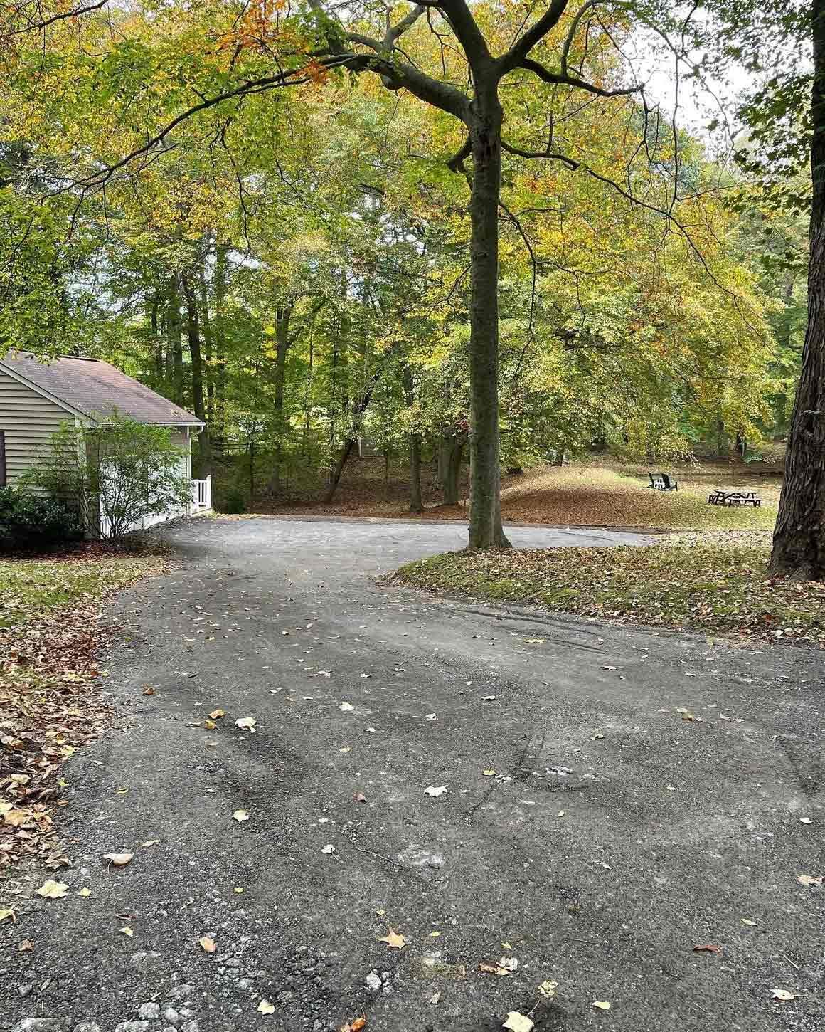 A wooded driveway in autumn